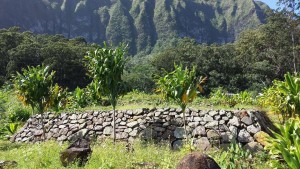 10636335_809944492406284_5023208093562384101_n