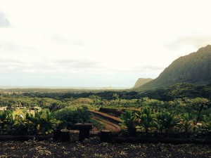 10931414_792480927485974_1032846860909958115_n