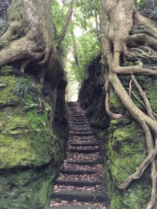 12932665_801272813340006_2549318983689939685_n