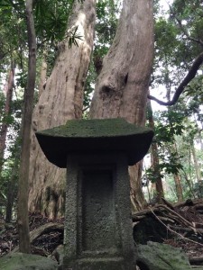 12987148_801270816673539_7005286883867270780_n