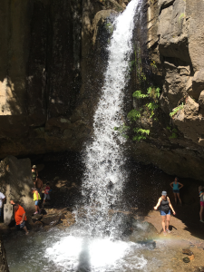 ヘッジウオーター