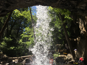 ヘッジウオーター２