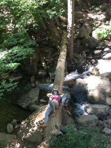 ヘッジウオーター３