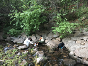 ヘッドウオーター