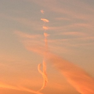 写真 2014-11-27 16 54 09 (1)