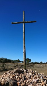 21740002_1657941467573790_1550041100398396113_n